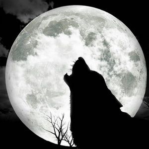 Meet your Posher, Cameron